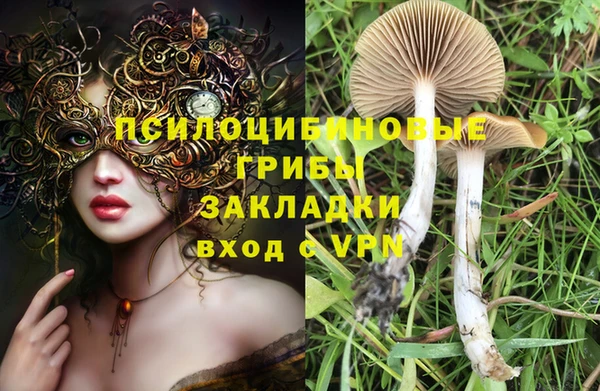 стаф Новозыбков