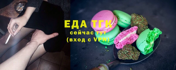 стаф Новозыбков