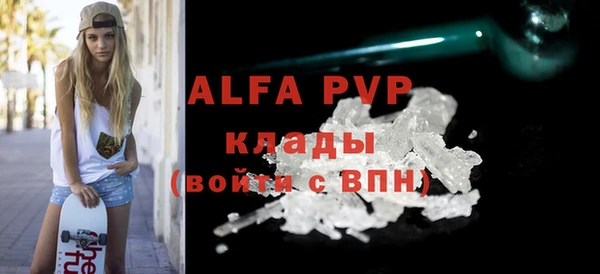стаф Новозыбков