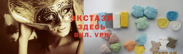 стаф Новозыбков