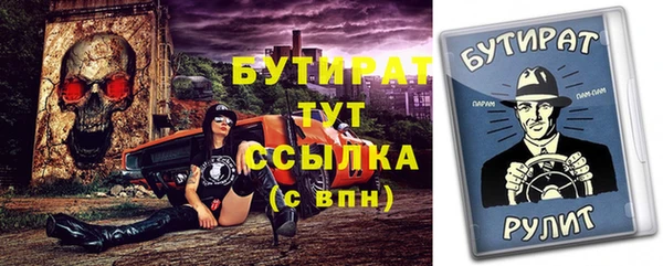 стаф Новозыбков