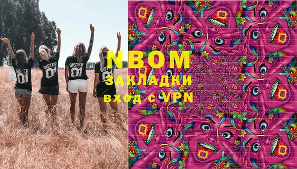 стаф Новозыбков