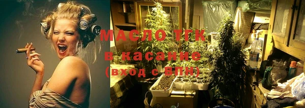 стаф Новозыбков