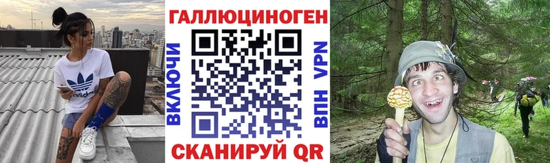 даркнет сайт Белогорск Галлюциногенные грибы Psilocybe