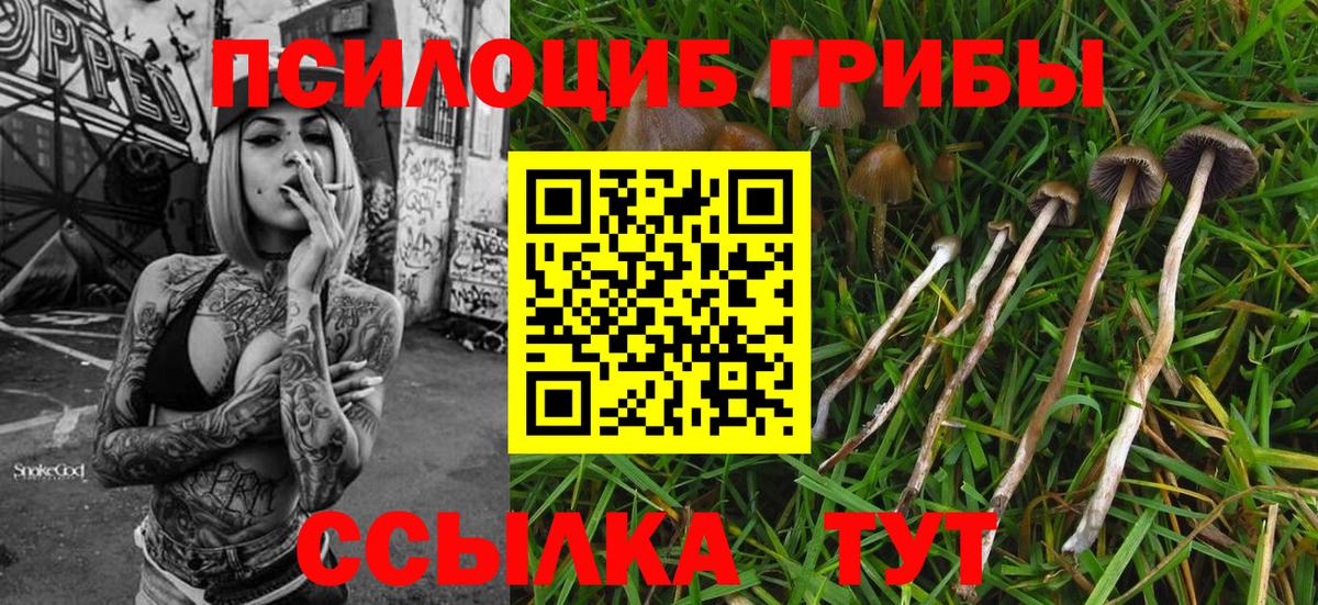 Галлюциногенные грибы мицелий  Вход с VPN  Белогорск  Псилоцибиновые грибы мухоморы 