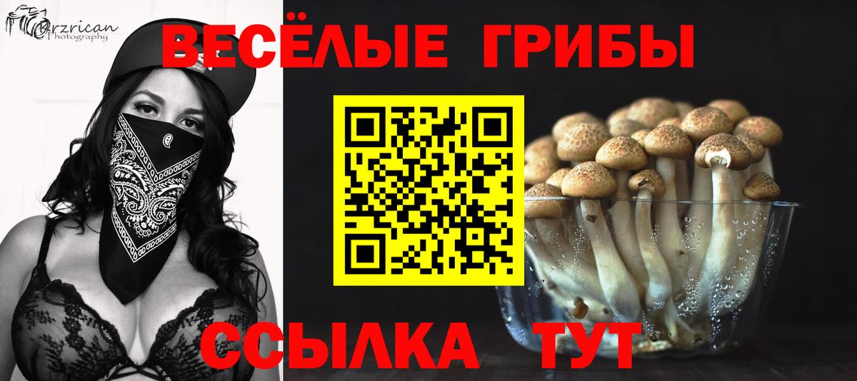 Псилоцибиновые грибы мицелий  Белогорск  Псилоцибиновые грибы Psilocybe 